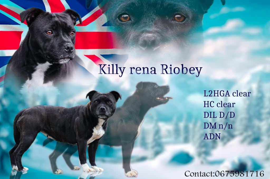 Killy'rena Riobey