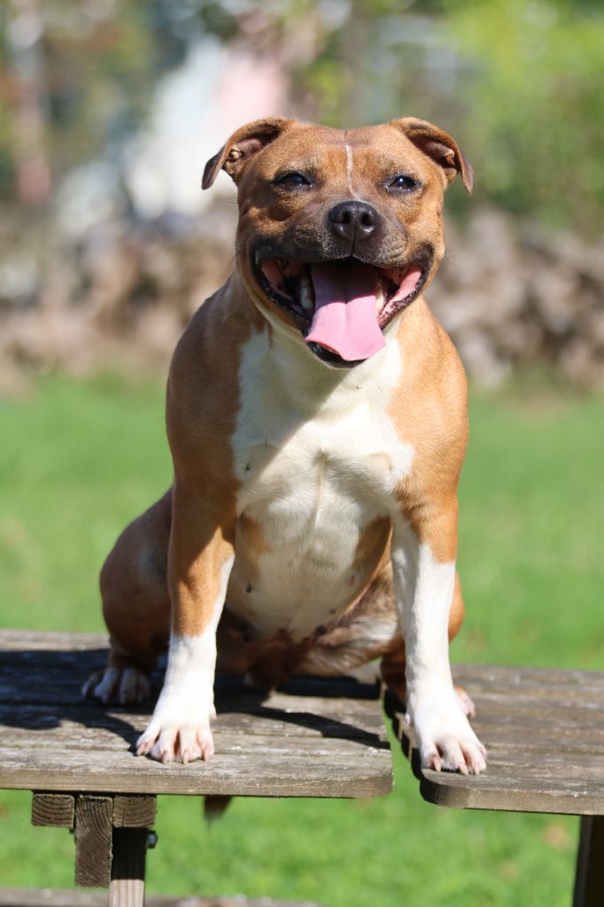 rendez vous fin octobre 